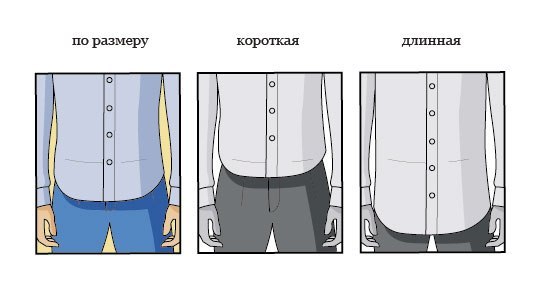 Рубашка с коротким или длинными рукавом?