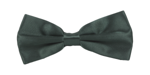 Фото Бабочка изумрудная артикул: 662 Метелики