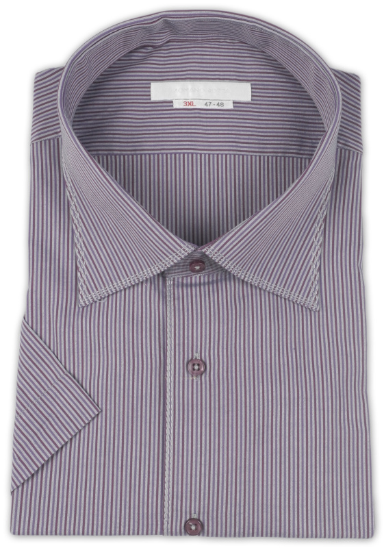 Фото товара Рубашка с коротким рукавом сиреневая Romano Botta, артикул: 26078 Класичний крій