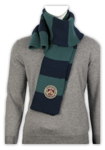 Фото товара Шарф VANGUARD сине-зелёный, артикул: 36106 Шарфи