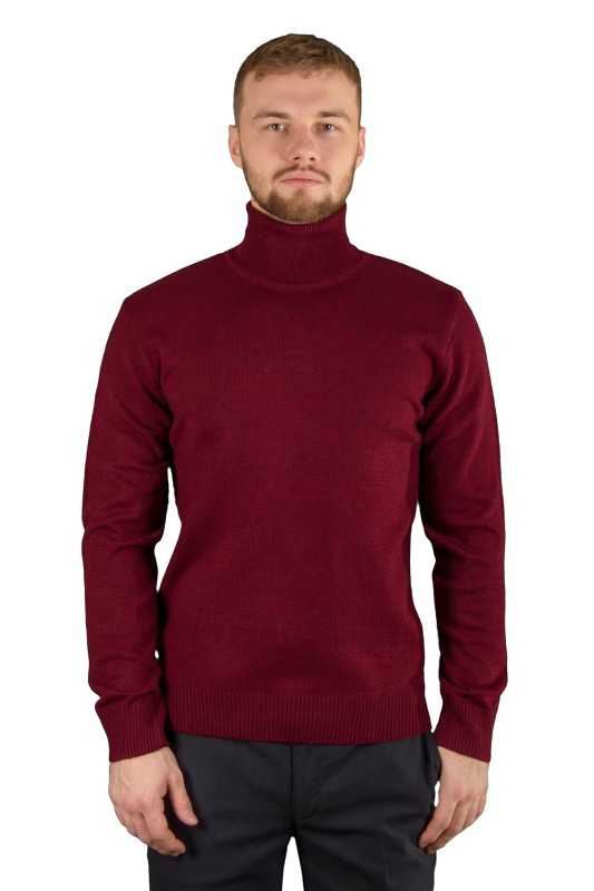 Фото товара Гольф бордовый однотонный  CLASS CLUB, артикул: 2969 Светри , Кофти поло