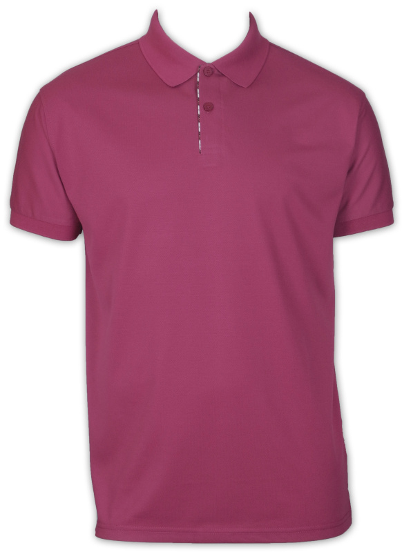 Фото товара Футболка поло малиновая HANLIN, артикул: 281815 Футболки та поло
