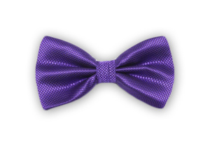 Фото товара Бабочка филетовая, артикул: 611 Метелики Фото товара Бабочка филетовая, артикул: 611 Метелики