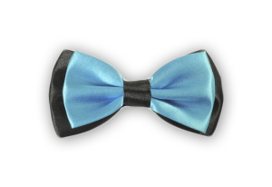 Фото товара Бабочка бирюзовая с черным, артикул: 616 Метелики