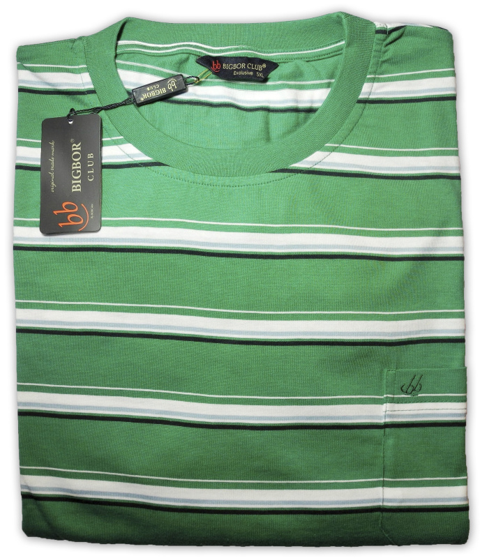 Фото товара Футболка поло BIGBOR CLUB, артикул: 2853 Футболки та поло