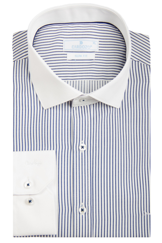 Фото товара Рубашка белая в синюю полоску ворот белый CARDOZO, артикул: 116-11 Приталені
