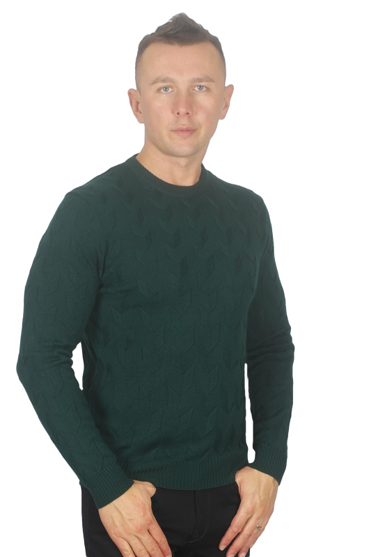 Фото товара Свитер тёмно-зелёный тканевый узор ENRICO CERINI, артикул: 204302-4 Светри , Кофти поло